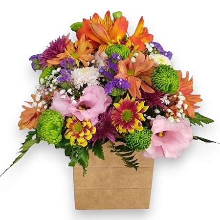 Arranjo Colorido