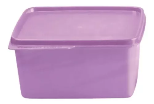 Basic Line 1,2 Litros Lilas