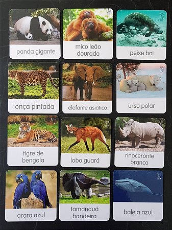 Flashcards de animais extintos e ameaçados de extinção