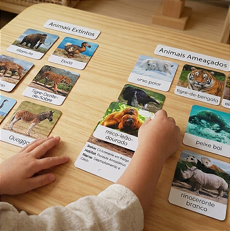 Flashcards de animais extintos e ameaçados de extinção