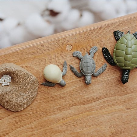 Miniaturas e flashcards Ciclo de vida répteis