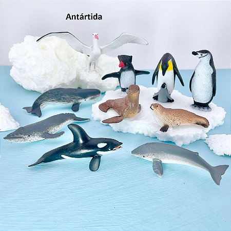 Miniaturas e flashcards animais dos continentes