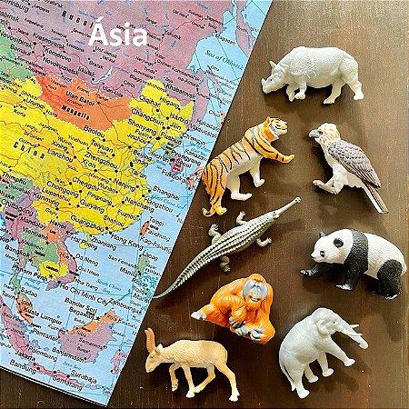 Miniaturas e flashcards animais dos continentes