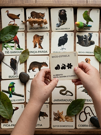 Flashcards Animais da Mata Atlântica