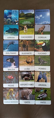 Flashcards animais aquáticos, aéreos e terrestres