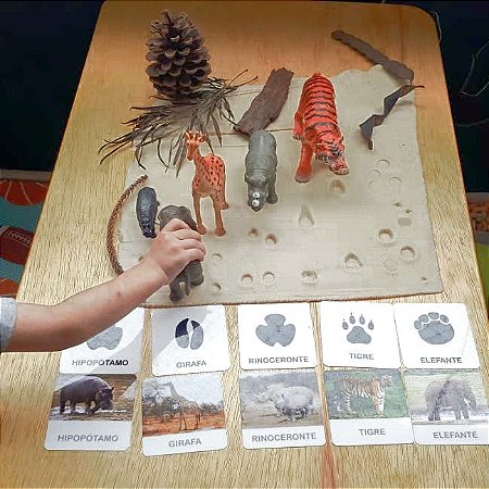 Flashcards Pegadas dos Animais