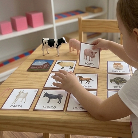 Flashcards Animais Domésticos casa x fazenda - atividade de classificação