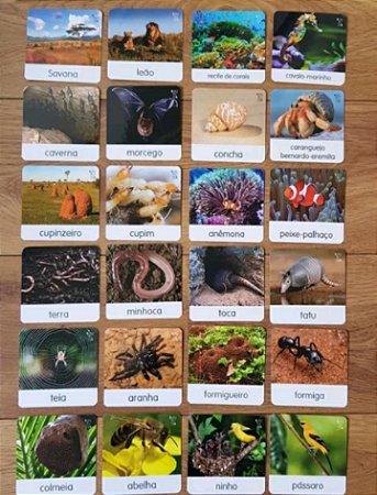 Flashcards "Onde moram os animais?" - habitats
