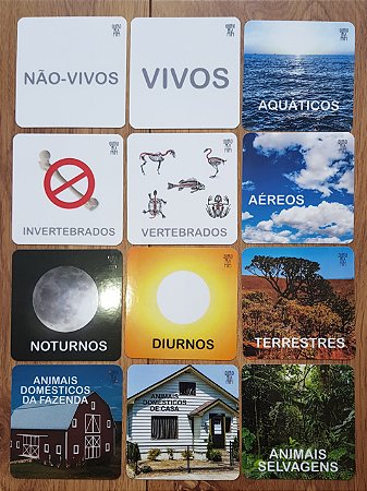 Flashcards tags/títulos para atividades de classificação de animais