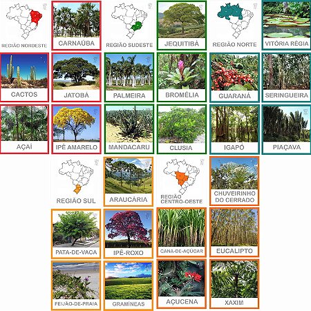 Flashcards Flora Brasileira