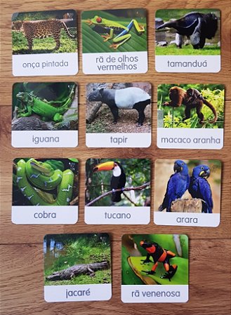 Flashcards Animais da Floresta Tropical