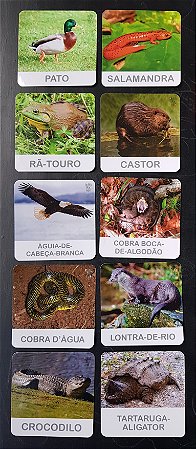 Flashcards Animais de Rio
