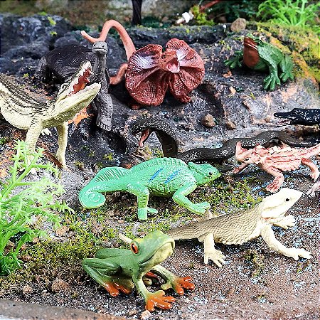 Miniaturas e flashcards répteis