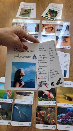 Kit flashcards e livro controle de erro Respiração dos Animais
