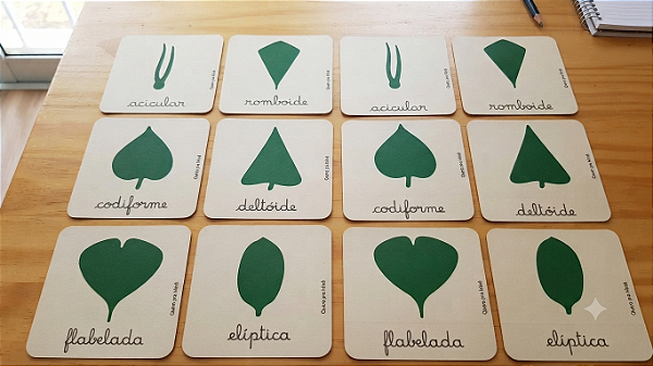 Cartões de 3 Partes de Nomenclatura – Gabinete de Botânica Montessori