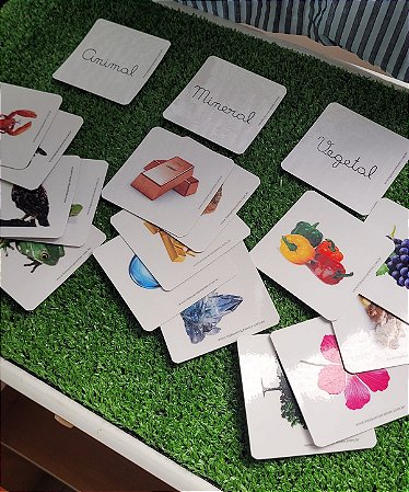 Flashcards classificação dos reinos Animal, Vegetal e Mineral