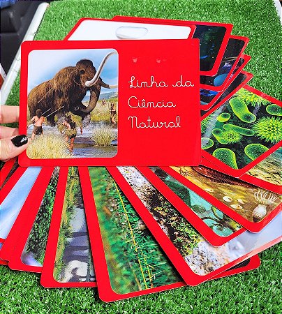 Linha de Ciências Naturais Vida na Terra | 1ª Grande Lição Montessori