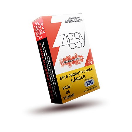 Ziggy Laranjola Tropical 50g