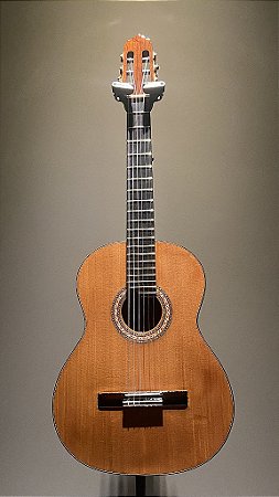 VIOLAO CLODOALDO PIRAJÁ (2014)