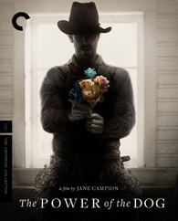 4K UHD + Blu-Ray Ataque Dos Cães | The Power Of The Dog - Jane Campion | Criterion