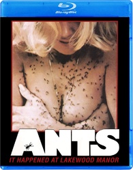 Blu-Ray O Ataque das Formigas | Ants!