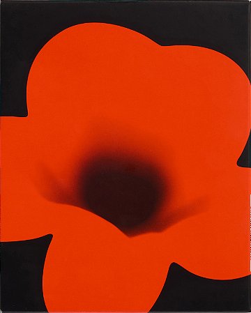 Blu-Ray Zona de Interesse | Zone of Interest - A24