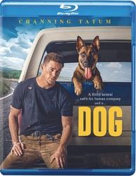 Blu-Ray Dog A Aventura De Uma Vida | Dog - Channing Tatum