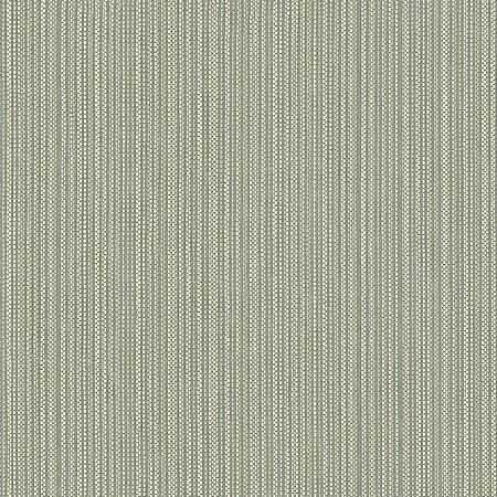 Papel de Parede Texture 2 - Palha - TX-2015 - Vinílico
