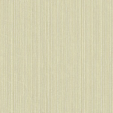 Papel de Parede Texture 2 - Palha - TX-2016 - Vinílico