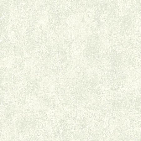 Papel de Parede Texture 2 - Cimento Queimado - TX-2041 - Vinílico