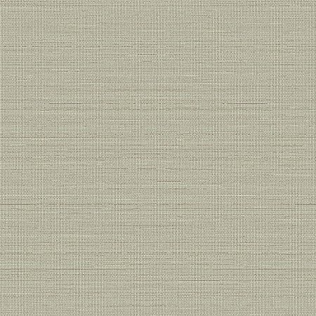 Papel de Parede Texture 3 - Palha - TX-3009 - Vinílico
