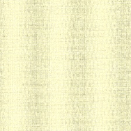 Papel de Parede Texture 3 - Linho - TX-3019 - Vinílico