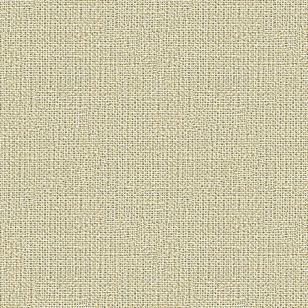 Papel de Parede Tramas - Linho - TR-4028 - vinílico