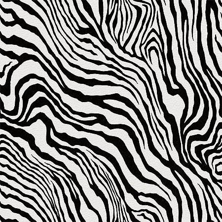 Papel de Parede Aditare 2 - Animal Print - AD200501R - Vinílico
