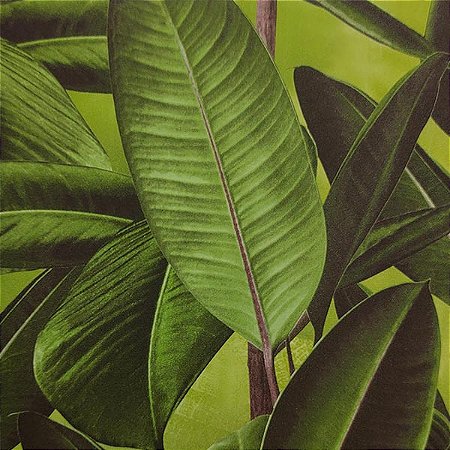 Papel de Parede Grace 4 - Folhas e Flores - GR402101 - Vinílico