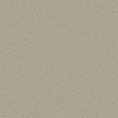 Papel de Parede Essencial - Textura - B4307 - Vinílico