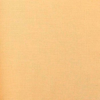 Papel de Parede Imagine 2 - Textura - 34460 - Vinílico