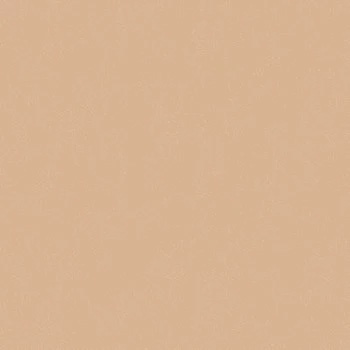 Papel de Parede Rustic Country - Liso - PA130503 - Vinílico