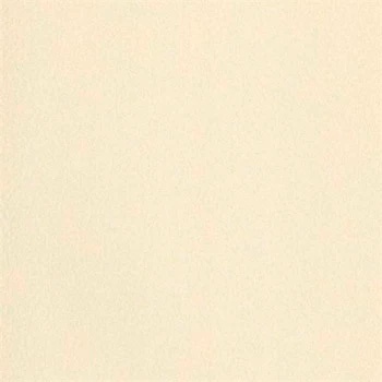 Papel de Parede Rustic Country - Liso - PA130505 - Vinílico