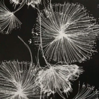 Papel de Parede Vie del Centro - Folhas e Flores - 28267 - Vinílico