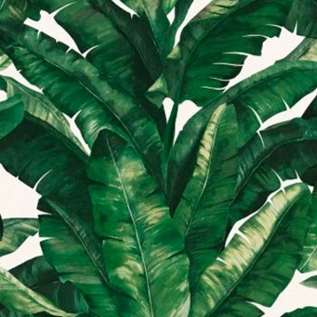 Papel de Parede Unique - Folhas e Flores - un-5049 - TNT/Vinílico