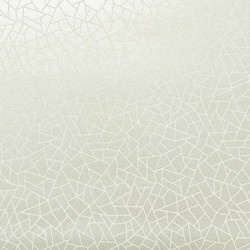 Papel de Parede Neo Geometric - Abstrato - NG1963 - Vinílico