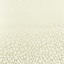 Papel de Parede Neo Geometric - Abstrato - NG1964 - Vinílico