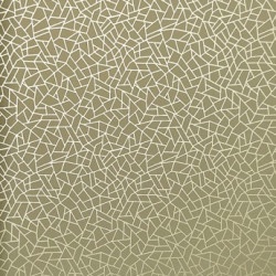 Papel de Parede Neo Geometric - Abstrato - NG1965 - Vinílico