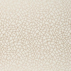 Papel de Parede Neo Geometric - Abstrato - NG1967 - Vinílico