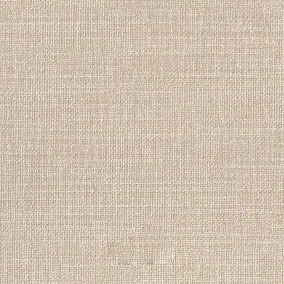 Papel de Parede Space IX - Textura - 9S160607 - Vinílico | TNT