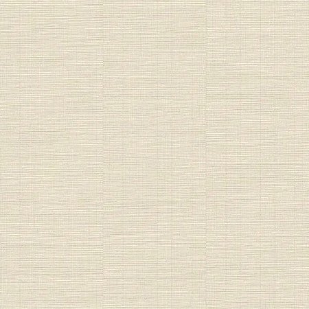 Papel de Parede Structured Walls - Textura - A80302 - Vinílico