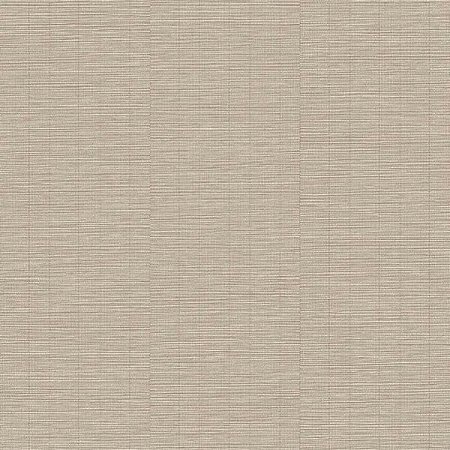Papel de Parede Structured Walls - Textura - A80303 - Vinílico