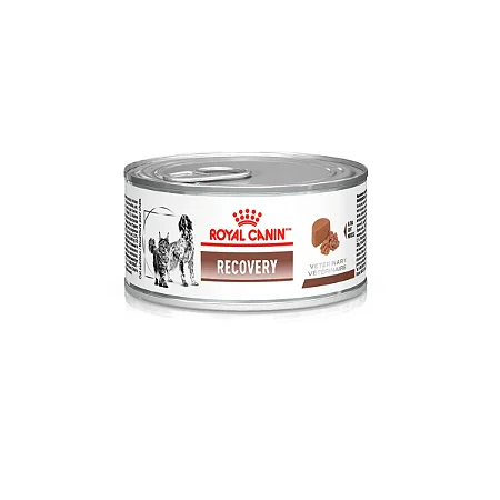 Ração Úmida Lata Royal Cain Recovery Canine/feline Wet 195g