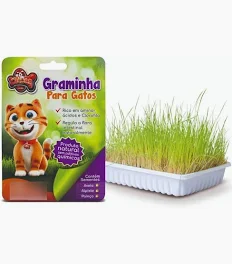 Graminha Gato Digestive 50 g